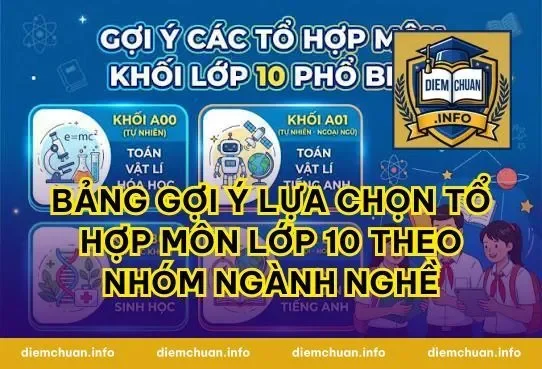 Bảng gợi ý lựa chọn tổ hợp môn lớp 10 theo nhóm ngành nghề